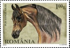 Stamp 6429