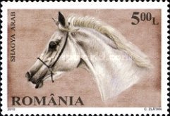 Stamp 6432