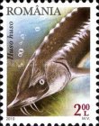 Stamp 6436