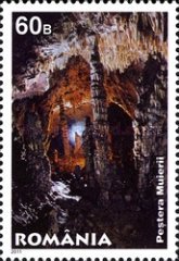 Stamp 6484