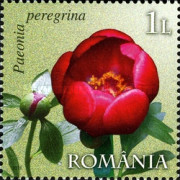 Stamp 6496