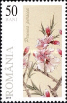 Stamp 6526