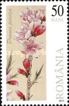 Stamp 6527