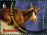 Stamp 6720