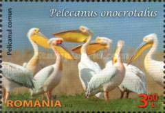 Stamp 6936