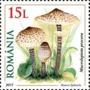 Stamp 7273