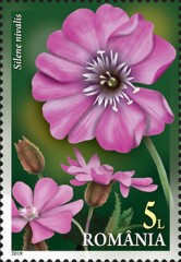 Stamp 7568