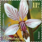 Stamp 7581