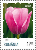 Stamp 7626