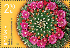 Stamp 7662