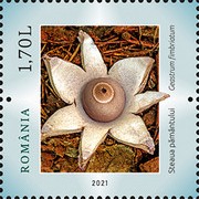 Stamp 7833