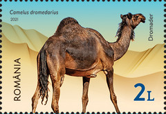 Stamp 7879