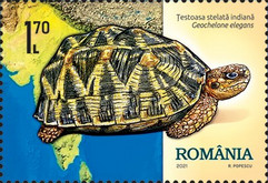 Stamp 7902