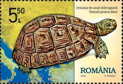 Stamp 7904