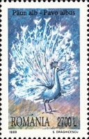 Stamp 5395