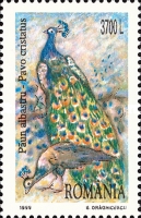 Stamp 5396