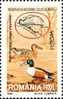 Stamp 5403