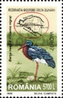 Stamp 5404