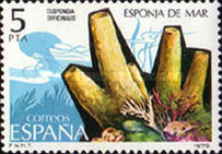 Stamp 2429