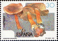 Stamp 3206