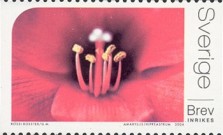 Stamp 2394