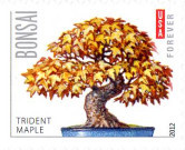 Stamp 4974