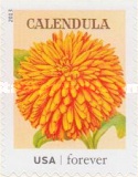 Stamp 5113