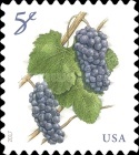 Stamp 5525